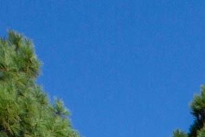 Lushly landscaped grounds, streams, pond, and water features create a perfectly peaceful setting Elan at river oaks apartments in san jose include lushly landscaped grounds, streams, pond, and water features create a perfectly peaceful setting - Photo Gallery