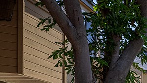 Woodbridge Apartments: Exterior woodbridge apartments irvine - Photo Gallery 3