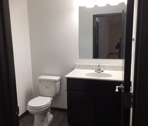 a bathroom with a toilet and a sink and a mirror