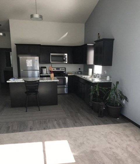 an empty kitchen with black cabinets and stainless steel appliances