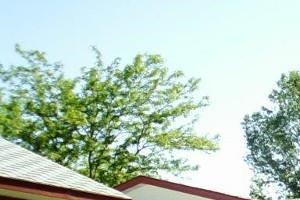 Lawn and buildings Property lawn and buildings - Photo Gallery 2