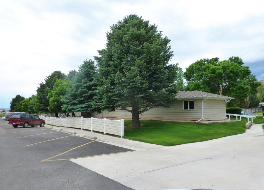 Mature Trees at Property
