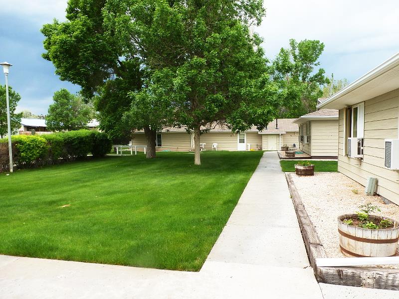 Lawn at Campbell Courts