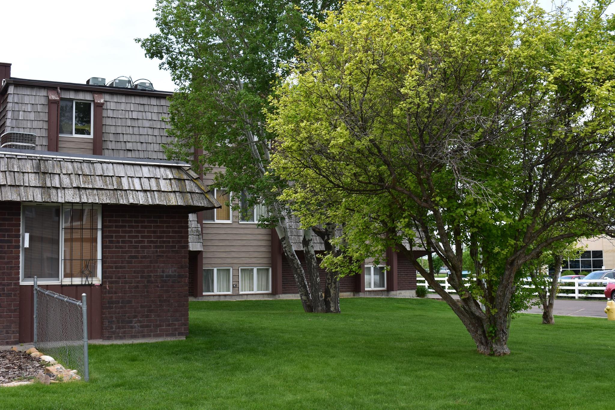 Mature trees and lawn