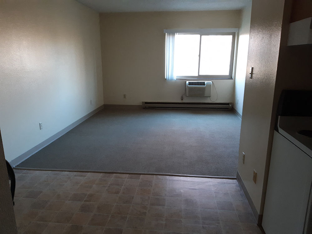 Living room and dining area