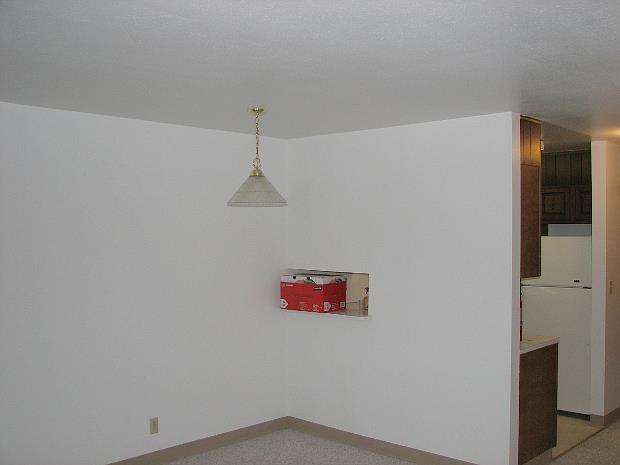 Wall dividing kitchen from living room