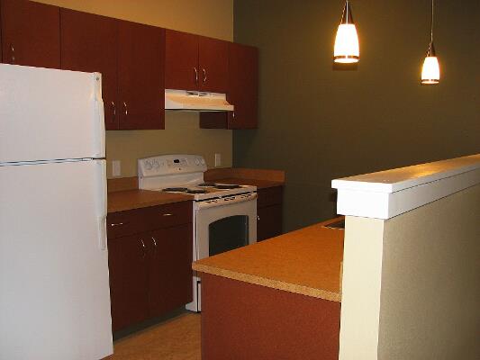 a kitchen with a stove and a refrigerator