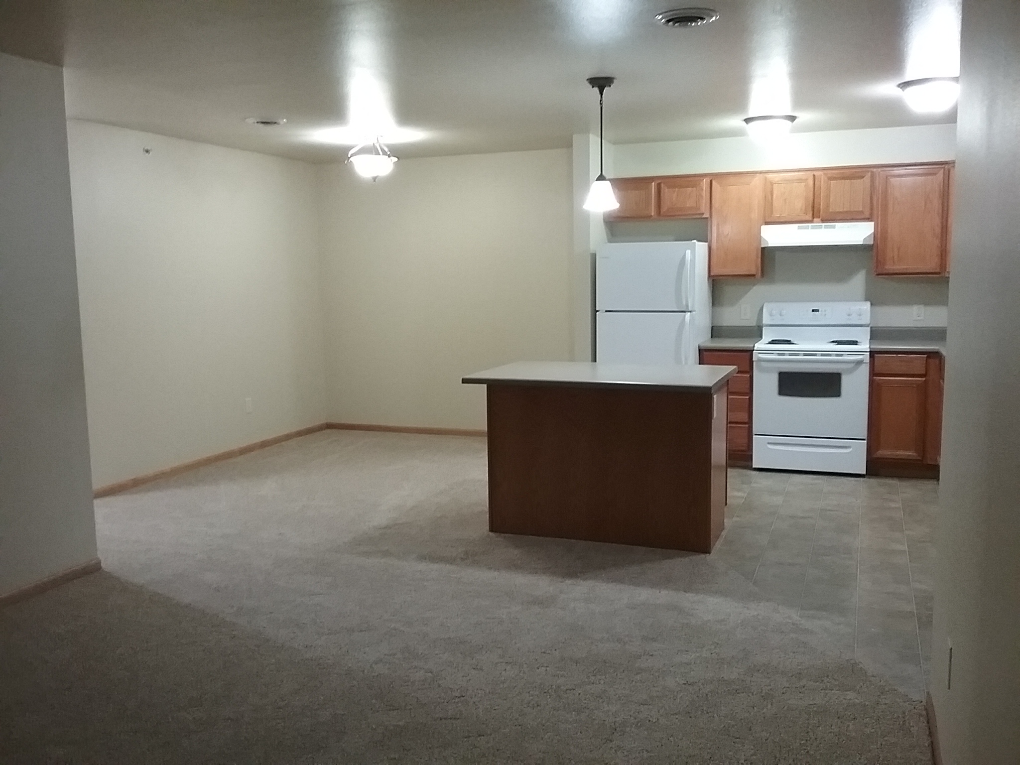 Kitchen and Dining Room