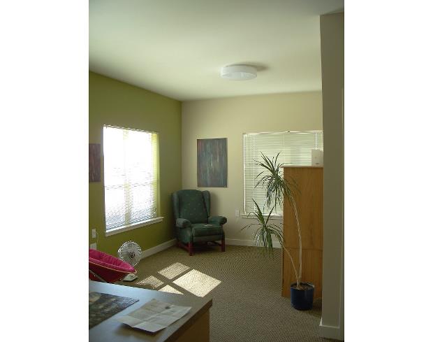 a living room with a chair and a plant