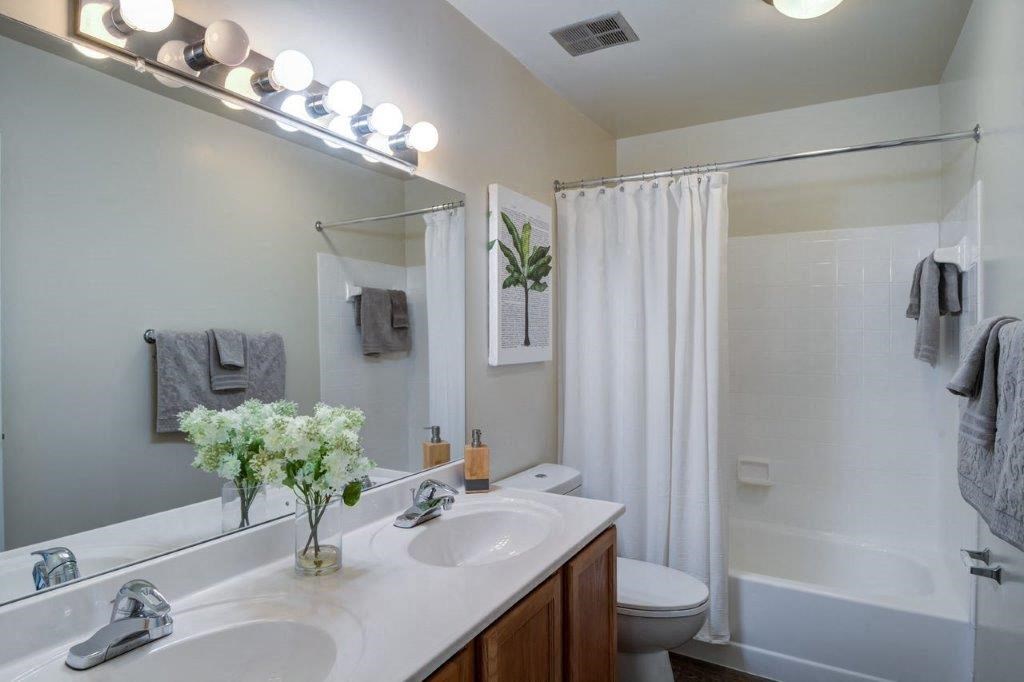 a bathroom with a sink and a toilet and a shower