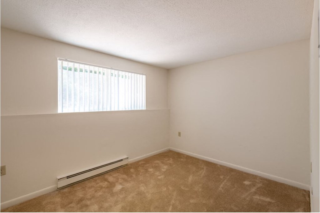an empty bedroom with a window and a carpeted floor