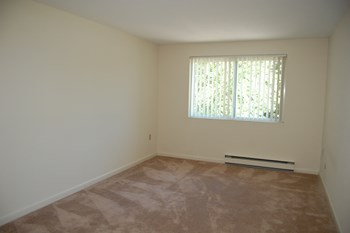 18 East Meadow Lane Studio-2 Beds Apartment for Rent - Photo Gallery 6