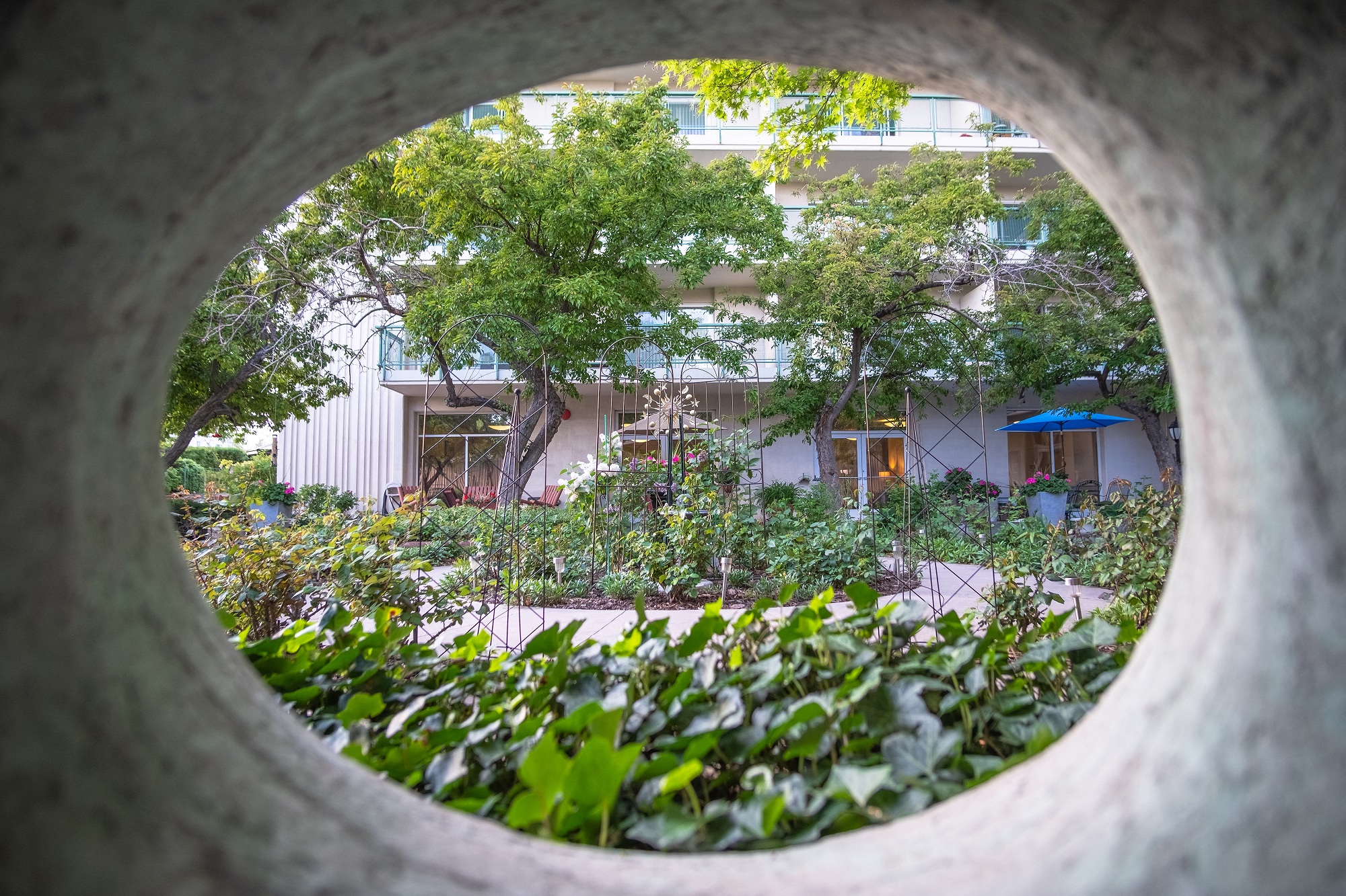 a porthole view of a garden in front of a building