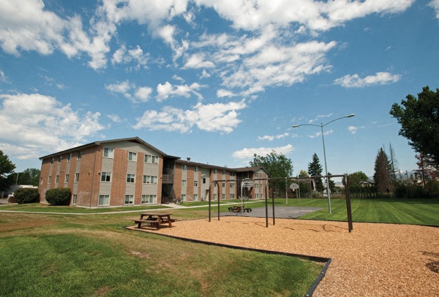 Swing set and picnic table
