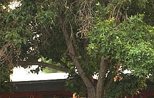 Hot Springs Senior | Apartments in Thermopolis, WY