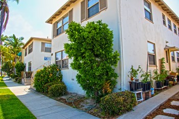 246 Santa Ana Studio Apartment for Rent - Photo Gallery 3
