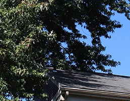 Concord Court Apartments Apartments in Sinking Spring PA Concord Court Apartments Apartments in Sinking Spring PA