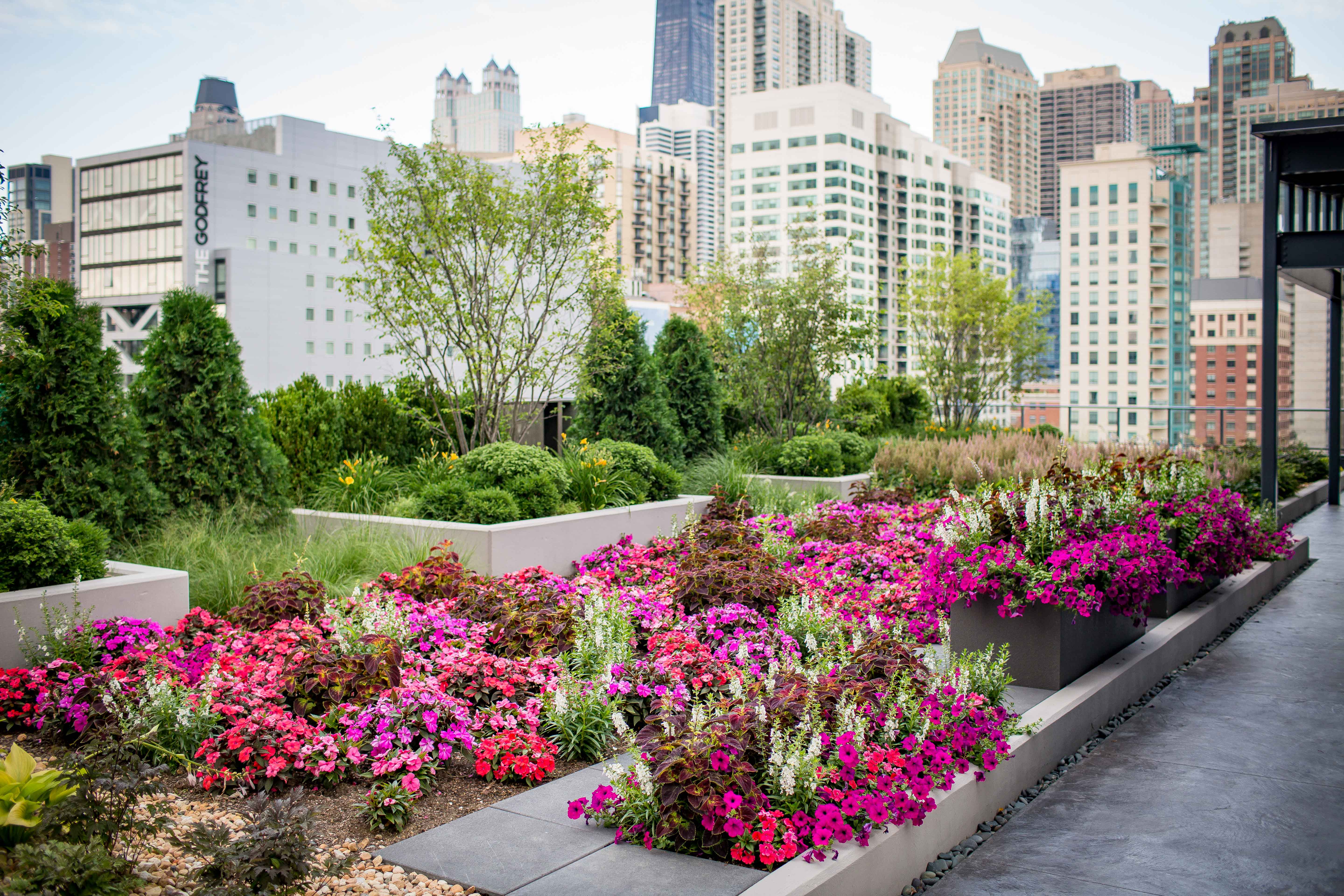 The Gallery On Wells