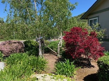 1401 Cherrywood Drive & 3470 Glendora Drive 3 Beds Duplex/Triplex for Rent - Photo Gallery 3