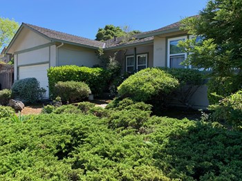 1401 Cherrywood Drive & 3470 Glendora Drive 3 Beds Duplex/Triplex for Rent - Photo Gallery 2