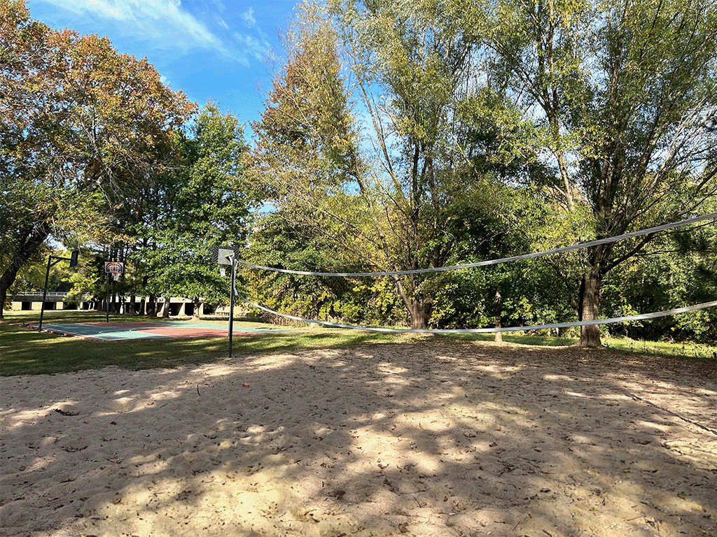 a volleyball court in a park with trees