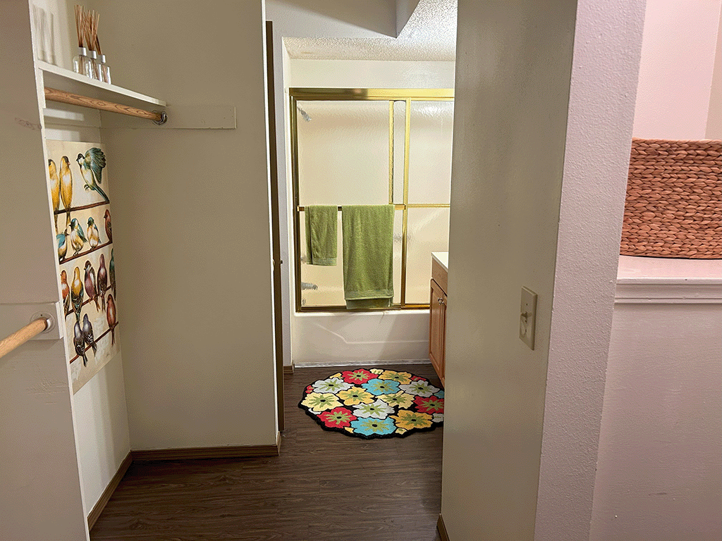 a bathroom with a shower and a rug on the floor