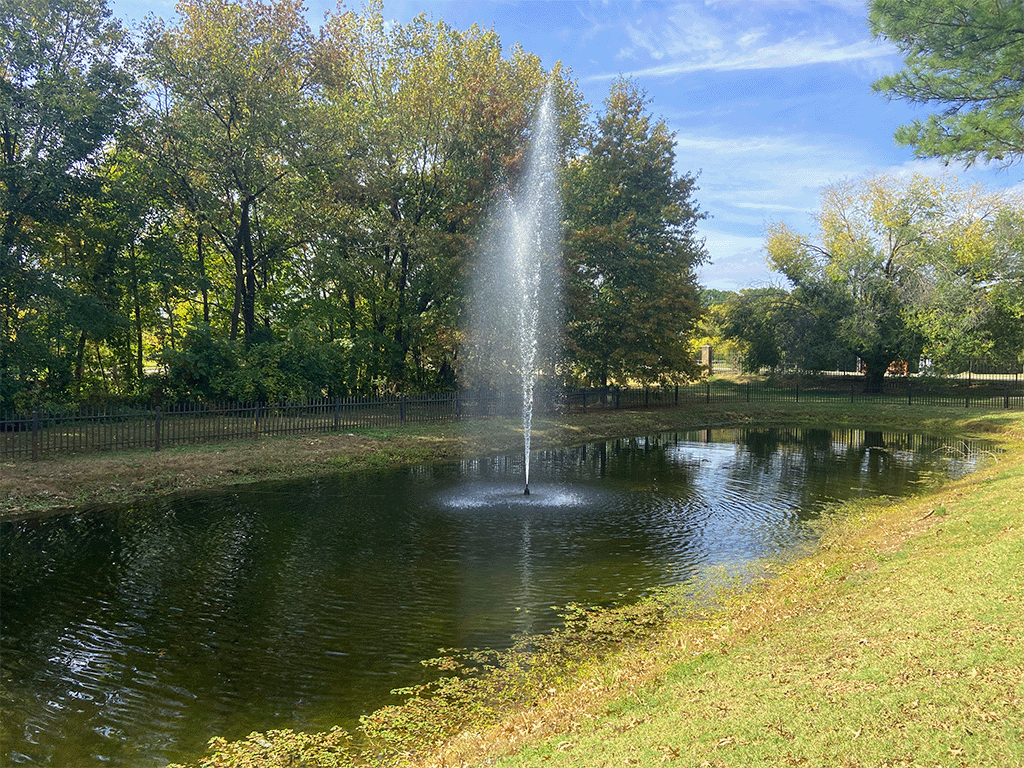 a fountain in the middle of a pond