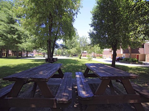 a group of picnic tables in a park