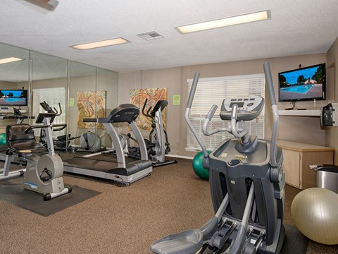 our gym is equipped with a variety of exercise equipment