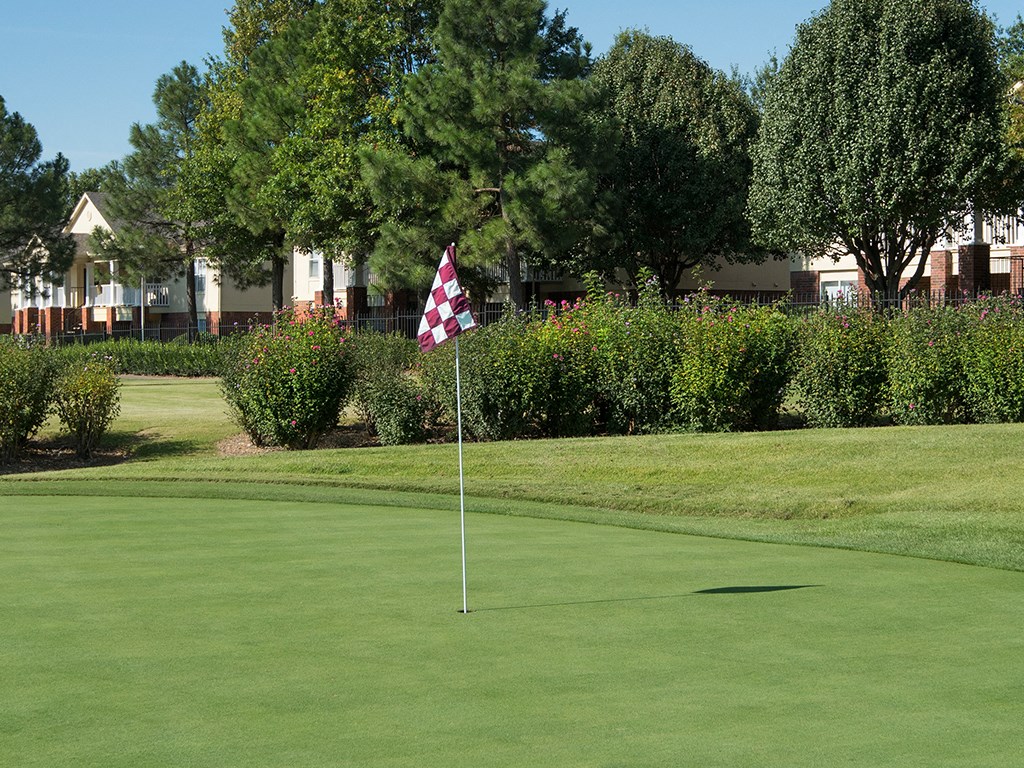 a flag on a golf course with a green and trees