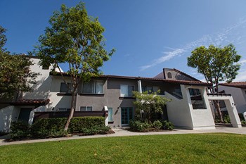 1625 W. Pacific Coast Highway 1-3 Beds Apartment, Townhouse for Rent - Photo Gallery 6