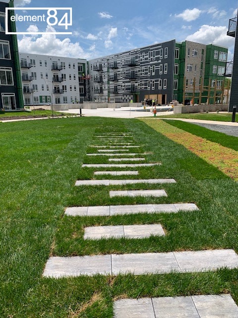 a grassy area with stepping stones in front of a building