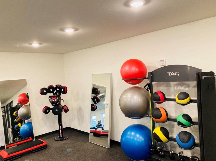 a workout room with weights and mirrors in a home gym