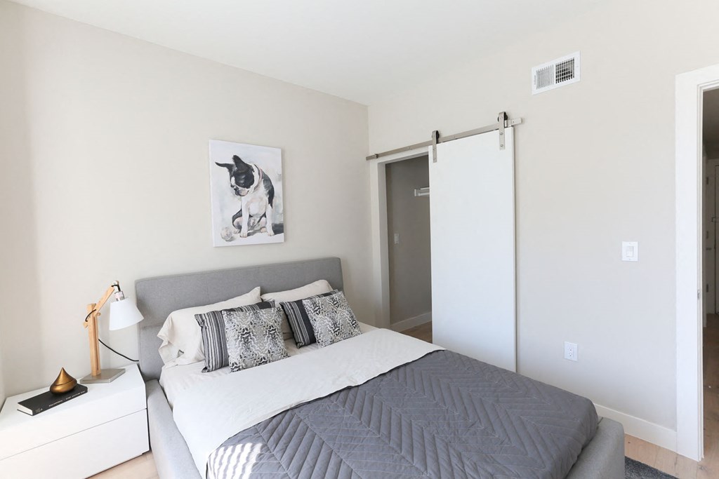 a bedroom with a bed and a closet