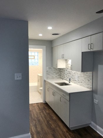 11045 S. Homewood Ave 1-2 Beds Apartment for Rent - Photo Gallery 6
