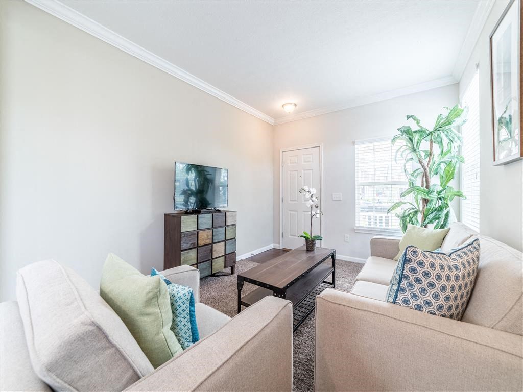 a living room with two couches and a tv