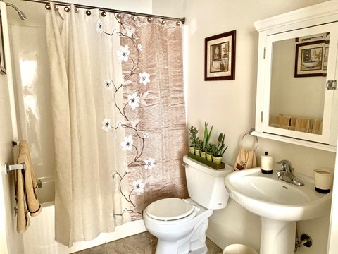 Bright Bathroom at Blueberry Hill Apartments, Rochester, NY