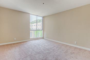 Master Carpeting at Hillside View, Los Angeles, CA