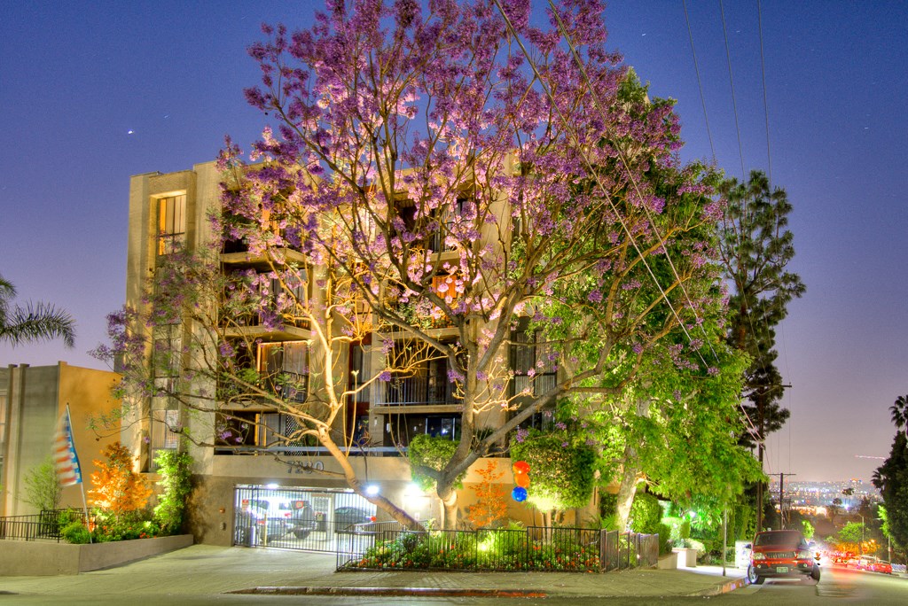 Elegant Exterior View at Hillside View, Los Angeles, CA