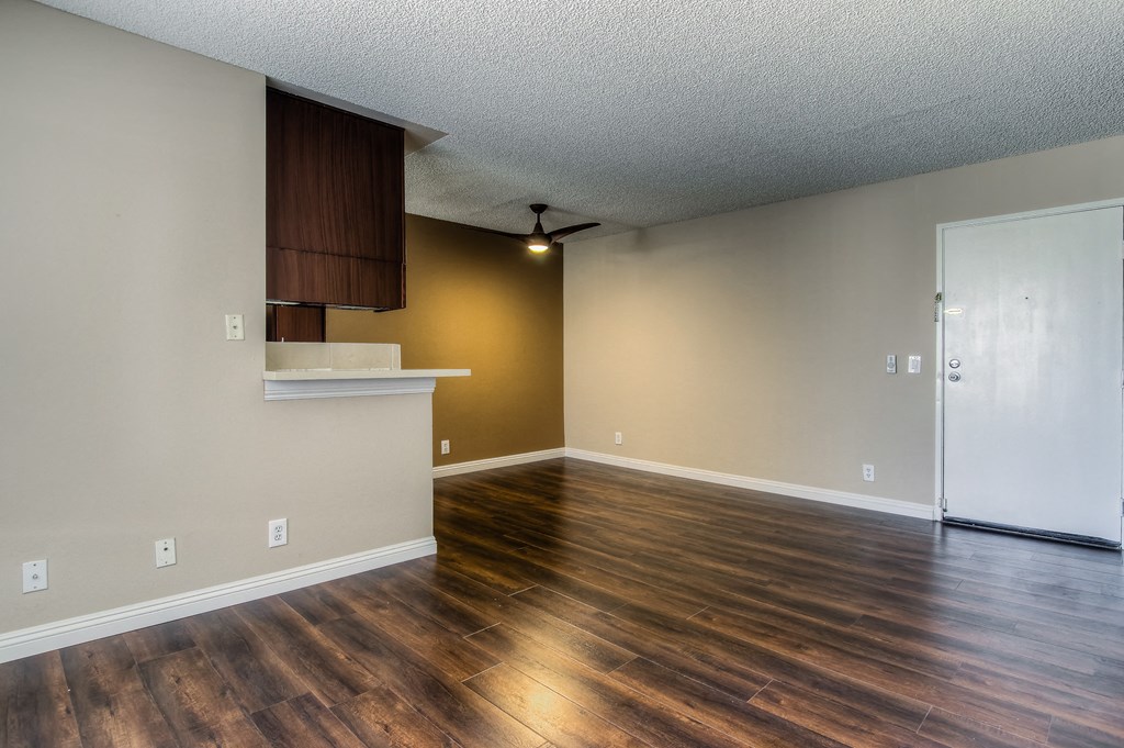 Kitchen Appliances at Joro Properties, Hollywood