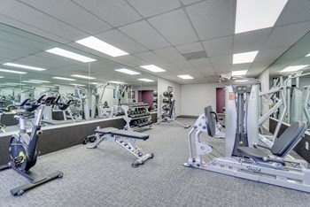 Free Weights in Gym at La Vista Terrace, California - Photo Gallery 45