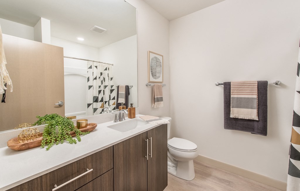 a bathroom with a toilet and a sink and a mirror