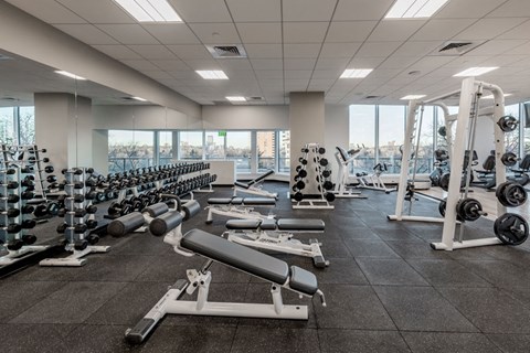 a gym with weights and dumbbells and a view of the city