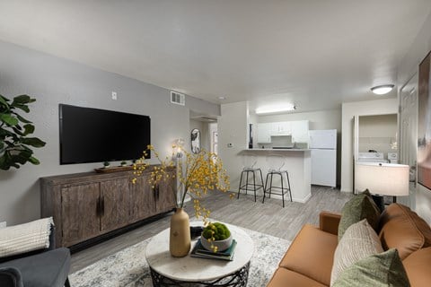 our apartments offer a living room with a tv and a kitchen