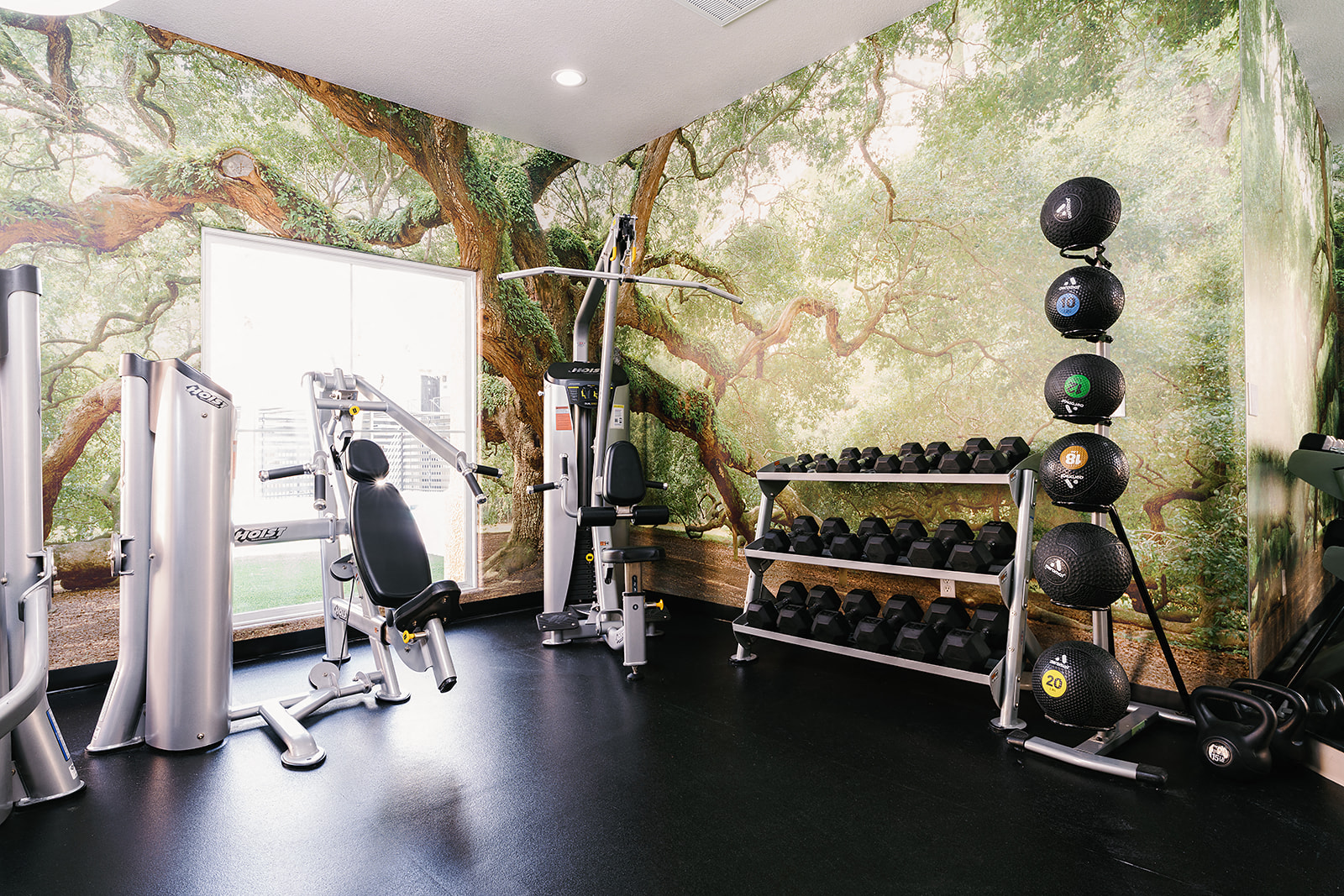 A gym with a tree mural on the wall.