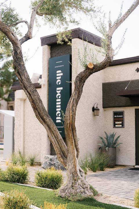 a tree in front of a building with a sign