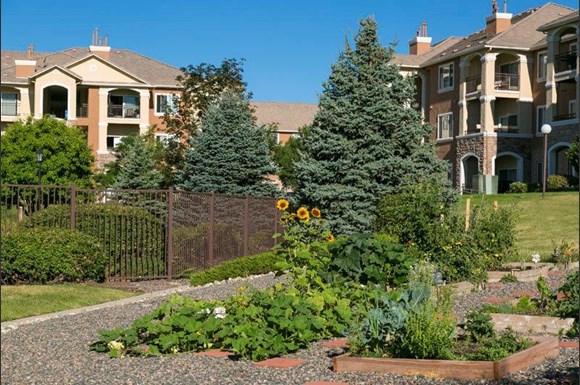 Cheap Apartments In Denver Metro Area Cheap Apartments In Denver Metro Area