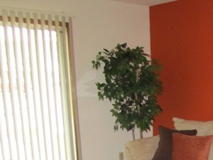 living room 1 bedroom