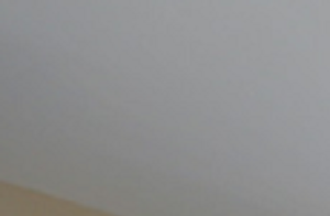 2355 White Birch Lane Studio-3 Beds Apartment for Rent - Photo Gallery 5