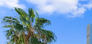 University Gardens Apartments In Las Vegas Nv